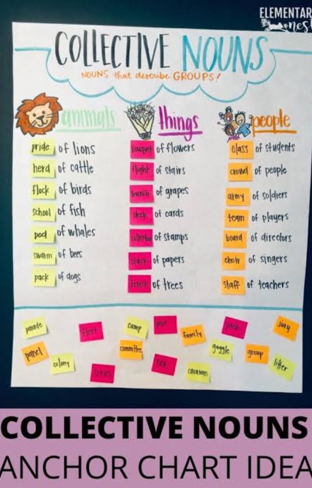 Collective Noun Used in Sentences (
