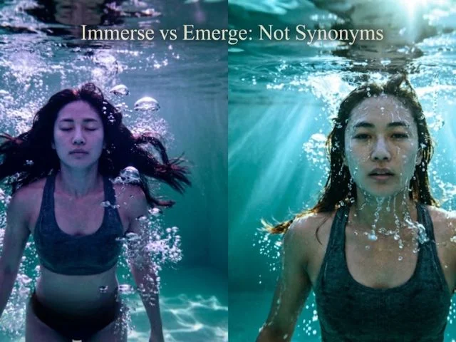Immerse_or_Emerge_Synonym_Options