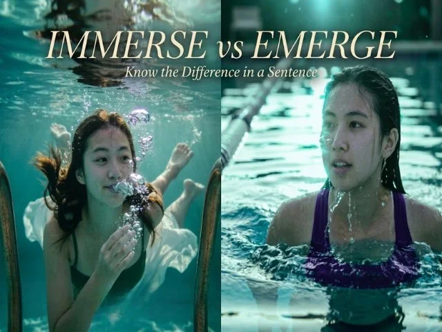 Immerse_or_emerge_in_a_sentence